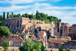 Rome: 3.5-Hour Small Group E-Bike Tour