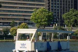 Rome: 30-minute boat tour to Laghetto dell'Eur