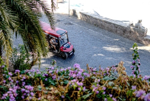 Roma: Tour privado de 4 horas por la tarde en carrito de golf por la ciudad