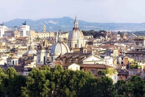 Rome: 4-Hour Private Tour with Driver