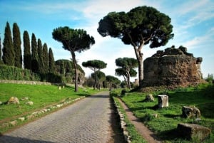 Rome: 4-Hour Private Tour with Driver