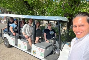 ローマ:4時間のデラックスゴルフカートによるパーソナライズド観光ツアー