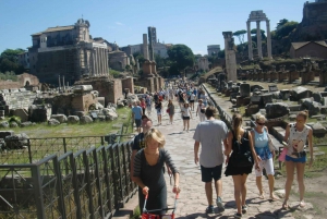 Rome: 8 Hour VIP Private Shore Excursion Cruise Pier Pickup