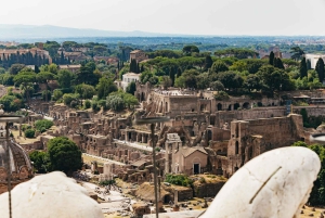 Rome: Altar of the Fatherland Elevator and Museum Tickets
