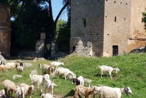 Rom: Appian Way Aqueducts E-Bike Tour & valgfri katakomber