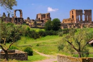 Rooma: Appian Way ja katakombit VIP-kierros, jossa on hotellin nouto.