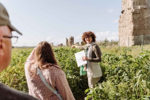 Roma: Visita à Via Ápia, Aquedutos e Catacumbas