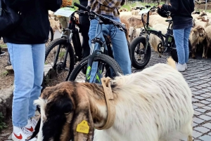 Rooma: Appian Way, Aqueducts, & Catacombs E-Bike opastettu kierros.