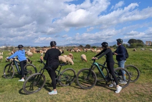 Rooma: Appian Way, Aqueducts, & Catacombs E-Bike opastettu kierros.