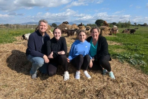 Rooma: Appian Way, Aqueducts, & Catacombs E-Bike opastettu kierros.