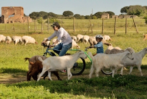 Rooma: Appian Way, Aqueducts, & Catacombs E-Bike opastettu kierros.