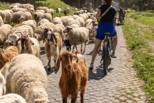 Rooma: Via Appia & akveduktit -sähköpyöräretki (katakombit & ruoka)