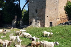 Rome : Excursion en E-Bike sur la Voie Appienne et les Aqueducs et, en option, les Catacombes