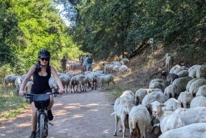 Rom: Via Appia, Katakomben & Aquädukte mit dem E-Bike + Transfer