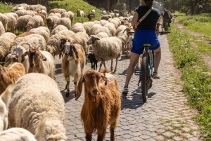 Rome : Circuit de la Voie Appienne en E-bike avec Catacombes, Aqueducs et Nourriture