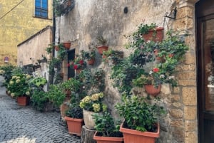 Roma: Visita de un día a Asís, Civita di Bagnoregio y Orvieto