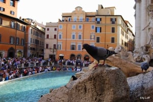 Rom: grundlæggende byrundvisning