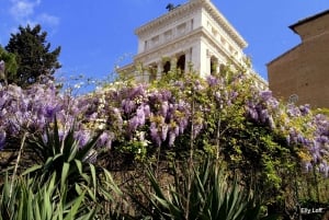 Rom: grundlæggende byrundvisning