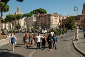 Roma: Pass Best of Rome con trasporto pubblico