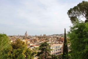 Rom: Borghese Gallery and Gardens guidet tur med en lille gruppe