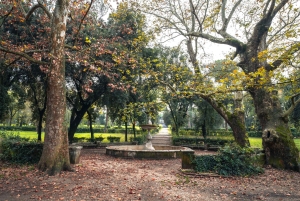 Roma: Kunsttur i Borghese-galleriet og hagespaser – VIP-tur