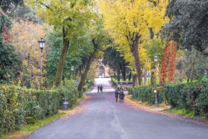 Roma: Kunsttur i Borghese-galleriet og hagespaser – VIP-tur