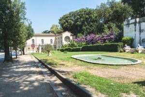 Rom: Entrébillet til Galleria Borghese med ledsager