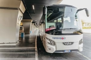 From Fiumicino Airport: Direct Bus Transfer to Rome Termini