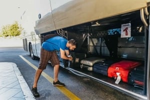 From Fiumicino Airport: Direct Bus Transfer to Rome Termini