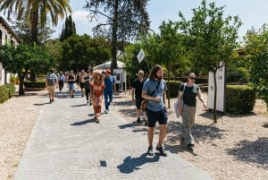 Rooma: Kapusiinikryptat ja katakombit -kierros kuljetuksilla