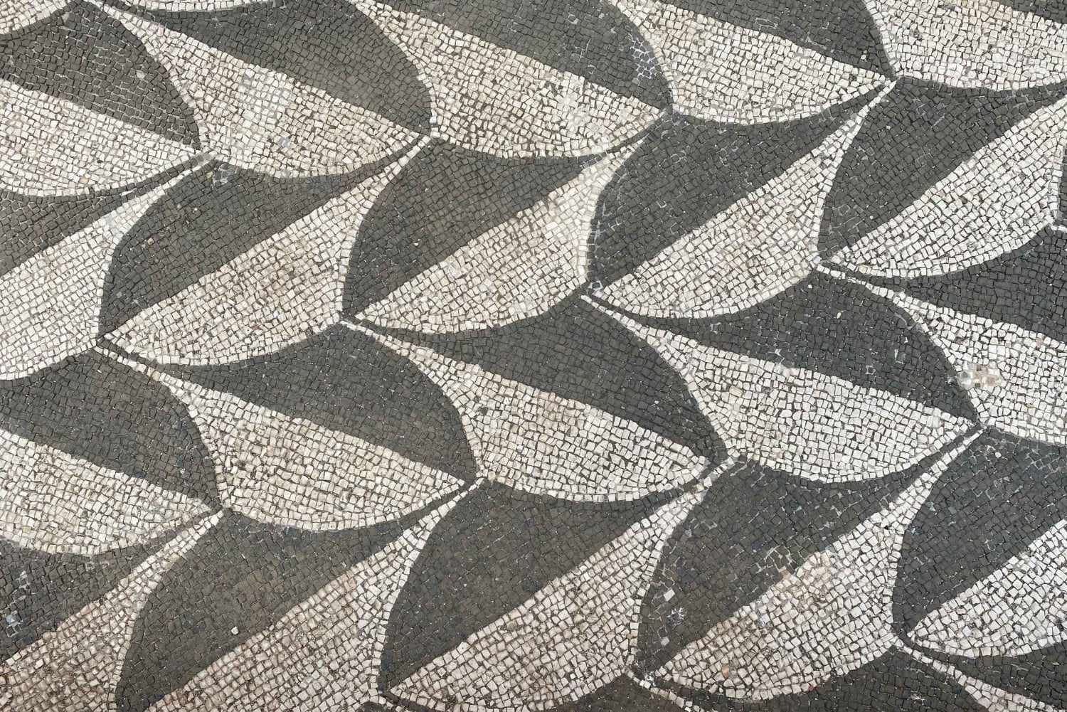 Roma: Caracalla Baths Express liten gruppe eller privat tur