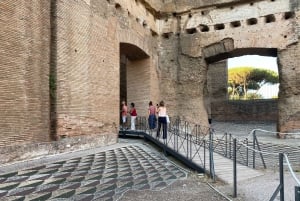 Roma: Caracalla Baths Express liten gruppe eller privat tur
