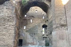 Roma: Caracalla Baths Express liten gruppe eller privat tur