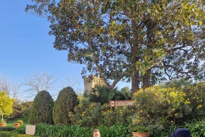 Rome: Catacombs Express ENGLISH Guided Tour - SKIP THE LINE