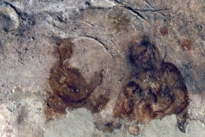 Roma: biglietto d'ingresso alle Catacombe di Priscilla e tour guidato