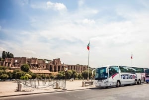 Ciampino Airport – Rome Termini Direct Bus Transfer