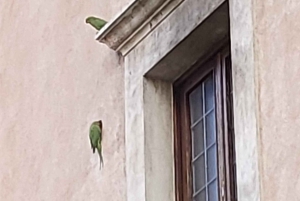 Rome: City Walking Tour with German Guide