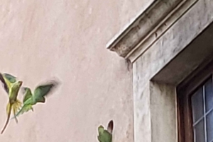 Rome: City Walking Tour with German Guide