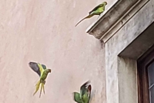 Rome: City Walking Tour with German Guide