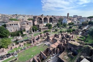 Rome : Colisée et Rome antique visite guidée en petit groupe