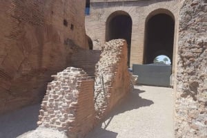 ローマコロッセオとフォロ・ロマーノ半日ツアー