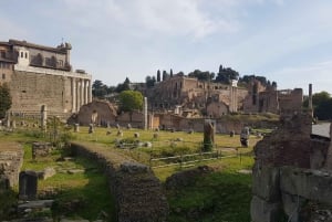 ローマコロッセオとフォロ・ロマーノ半日ツアー