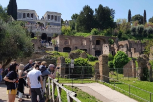 Roma: Coliseo Arena, Palatino y Foro Visita Guiada