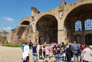 Roma: Coliseo Arena, Palatino y Foro Visita Guiada