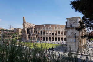 Roma: Coliseo Arena, Palatino y Foro Visita Guiada