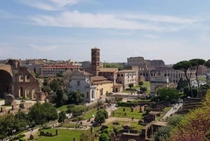 Roma: Coliseo Arena, Palatino y Foro Visita Guiada