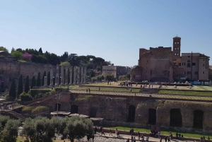 Roma: Coliseo Arena, Palatino y Foro Visita Guiada