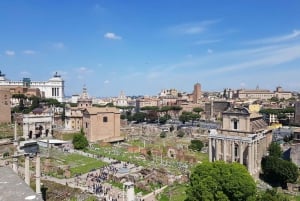 Roma: Coliseo Arena, Palatino y Foro Visita Guiada