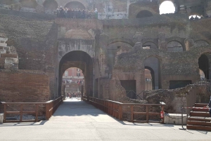 Roma: Coliseo Arena, Palatino y Foro Visita Guiada