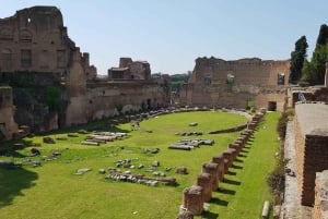 Roma: Coliseo Arena, Palatino y Foro Visita Guiada